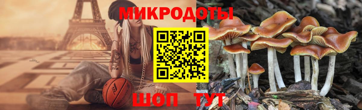 Галлюциногенные грибы Cubensis Александров